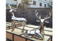 Life Size Garden Animal Sculpture Polished Stainless Steel Deer Statue