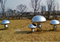 Customized Polished Stainless Steel Mushroom Sculpture for Outdoor Garden Park