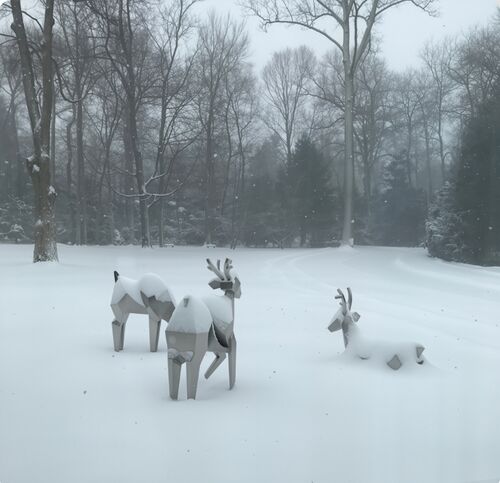บล็อกบริษัทล่าสุดเกี่ยวกับ ฝูงผลึก: ที่ซึ่งธรรมชาติพบกับรูปทรงเรขาคณิต