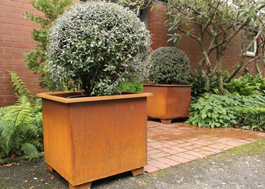ราคาดี โมเดิร์นสไตล์สแควร์โลหะกระถางดอกไม้ / สแควร์โลหะชาวสวนสวน Corten เหล็ก ออนไลน์