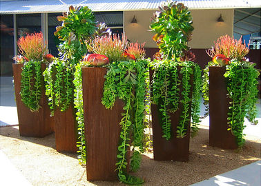 ราคาดี กล่องชาวไร่เหล็ก Corten ขนาดใหญ่สไตล์โมเดิร์นสำหรับตกแต่งกลางแจ้งสูง 80 ซม ออนไลน์